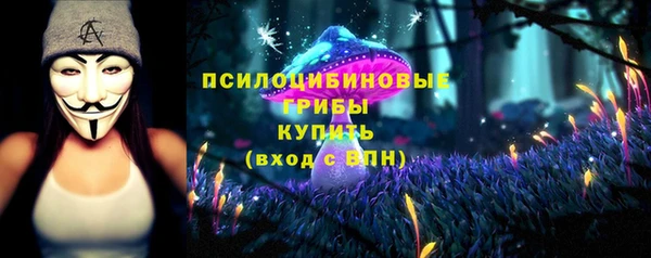 apvp Волоколамск