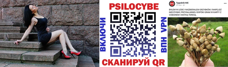 купить закладку  Новая Усмань  Галлюциногенные грибы мухоморы 